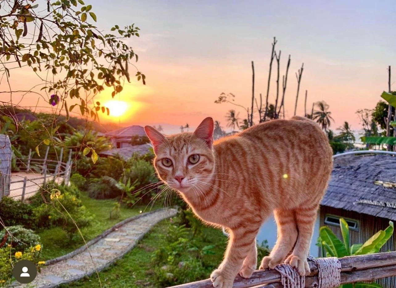 Jaiyen Resort Ko Yao Noi Dış mekan fotoğraf
